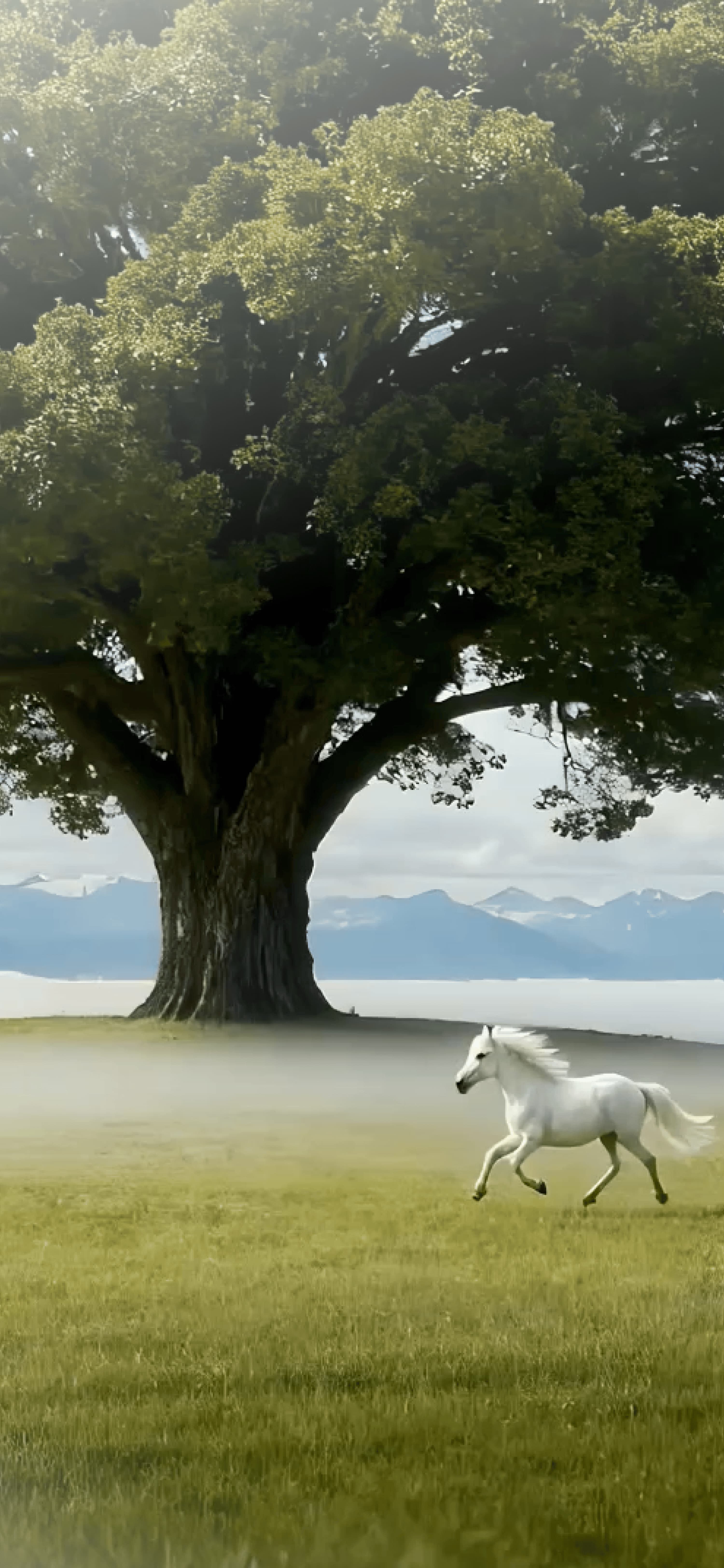 果下科技官方网站建设